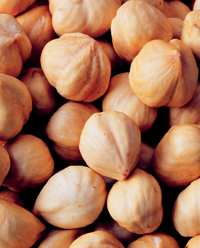 Hazelnut Helps to Reduce Diabet Risk